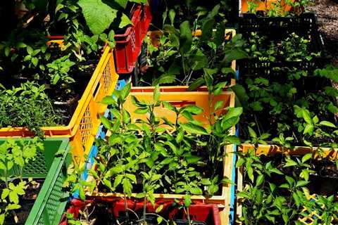 Small Space Vegetable Gardening Ideas