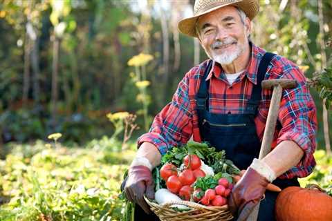 When to Plant Cucumbers in Illinois