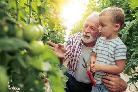 Easy to Grow Herbs and Vegetables