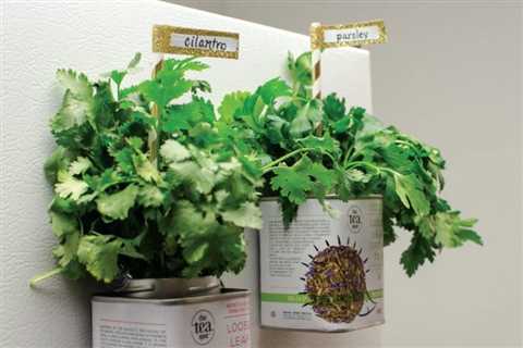 Magnetic Herb Pots For Your Fridge