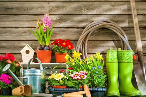 Controlling Garden Pests With Natural Pest Control For Plants