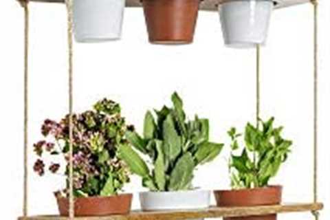 Vertical Herb Planter Kitchen Designs