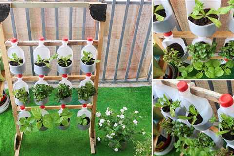 Cheap Ideas For Gardening DIY Projects