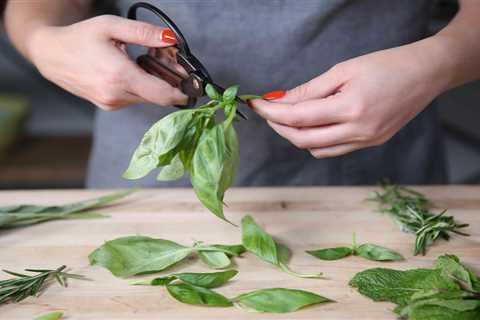 How to Freeze Fresh Herbs