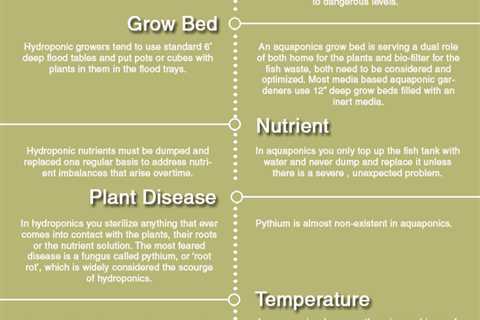 How to Make an Aquaponics Biofilter