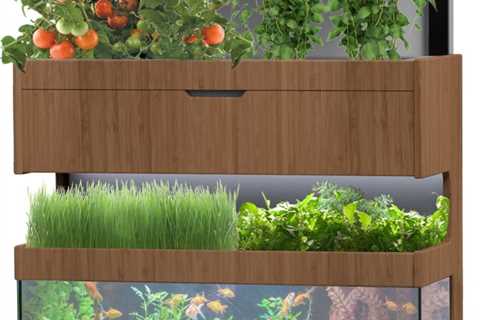 The Easiest Way to Grow Organic Food With Aquaponics