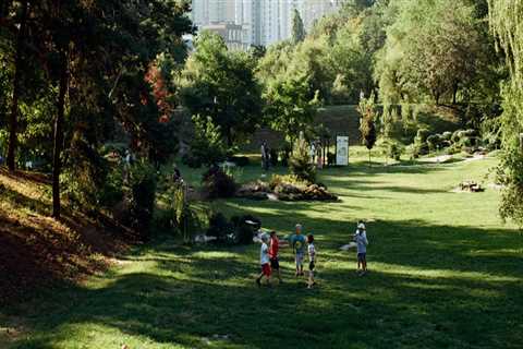 What is the importance of urban forest?