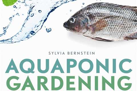 How Fish Can Help You Grow Tasty Vegetables With Aquaponics