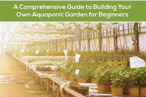 Grow Your Own Vegetables With Aquaponics