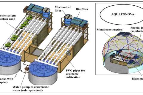 Advantages and Disadvantages of Aquaponics