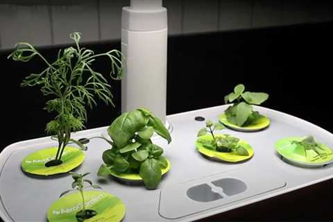 Are Indoor Hydroponic Gardens Worth It?