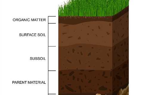 The Type of Organic Liquid Fertilizer You Should Use on an Unfriendly Soil