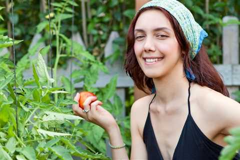 Beginners Guide to Gardening Vegetables