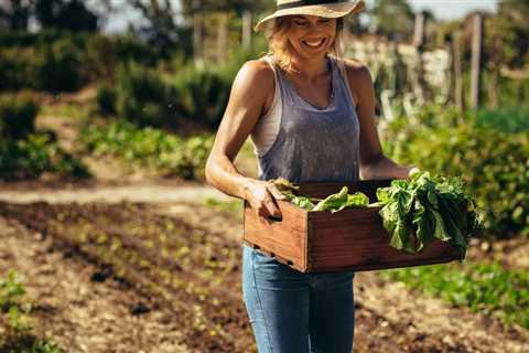 Best New Garden Books and Garden Inspiration Books For Beginners