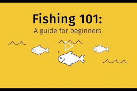 Fishing 101: A guide for beginners