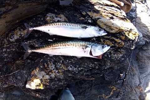 Shore Fishing - Spinning for Mackerel - Tips for Beginners