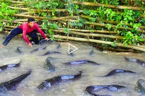 amazing fishing! a fisherman skill catch fish a lots on the road flooding in my special place