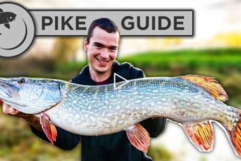 A Beginners Guide To Pike Fishing - Tactics, Bait, Lures, Rigs, and Unhooking