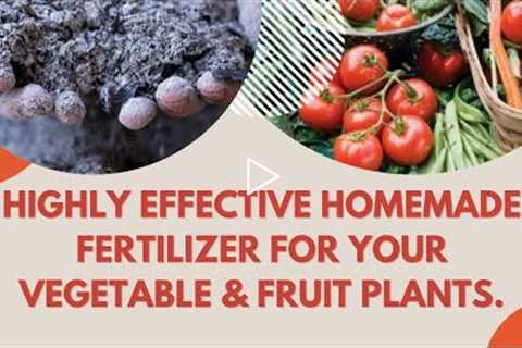 Highly effective homemade fertilizer for your vegetable garden - Gardening ideas and Gardening tips