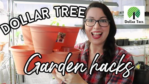 Awesome Gardening Supplies from the Dollar Tree 2021 | Homestead Dreaming