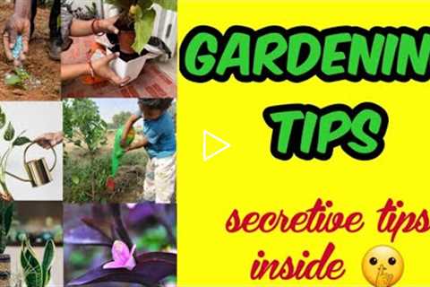 Gardening Tips for Beginners | Top tricks to grow healthy plants | Revealing Secret gardening skills