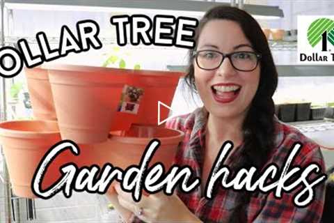 Awesome Gardening Supplies from the Dollar Tree 2021 | Homestead Dreaming