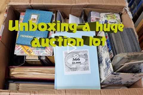 Unboxing a big auction lot