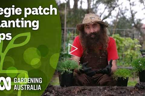 How to protect and pollinate your vegie patch | Gardening Hacks | Gardening Australia