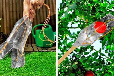 Awesome Gardening Hacks And Plants Growing Tips
