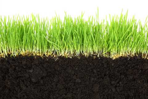 The Best Soil Treatment for Lowering Your Soil’s pH