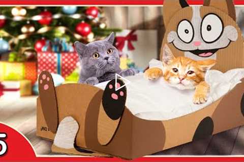 DIY Cat Bed from Cardboard | Christmas Gift Ideas & Craft Projects ⭐ Box Xmas #5