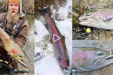 Where When & How To Catch Steelhead In The River / Great Lakes Steelhead Life Cycle & Habits