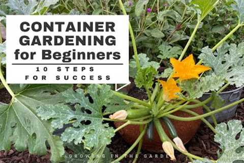 CONTAINER GARDENING for BEGINNERS: 10 Simple Steps