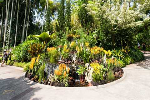 How much is the entrance at botanical gardens?