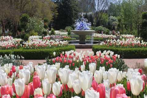 What activities are done in botanical gardens?