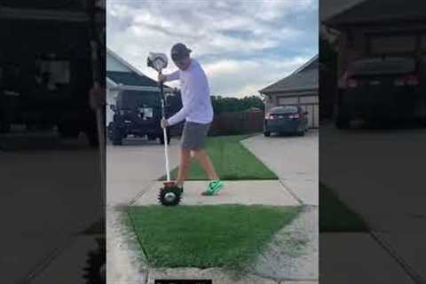 Satisfying Cleaning Lawn Mowing Blow 🌬️🍃 |🤤🪄| #shorts #short