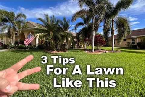 Florida Winter Lawn Care Tips