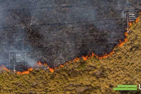 Deforestation statistics seen from above / Copie ou pas? On stats