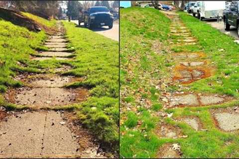 Overgrown Sidewalk UNCOVERED After 50 Years Of NEGLECT (12 Hour Job)