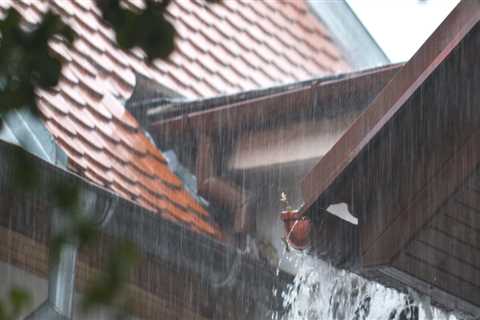 How Roof Gutter Overflow Can Destroy Your Garden