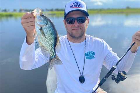 Crappie Fishing in Texas: The Complete Guide