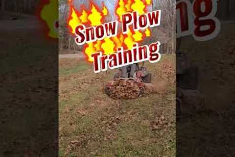 Lawn Mower Plowing and Demolishing Leaves