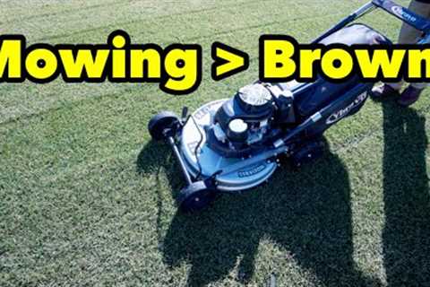 Mowing Lawn How To Remove Winter Brown From Your Lawn