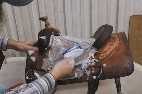 Complete Saddle Cleaning and Conditioning