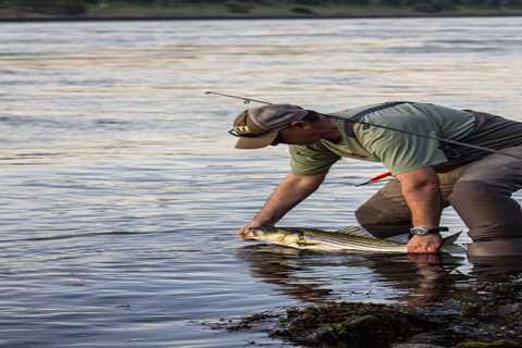 7 Lures for Schoolie Stripers