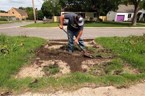 Homeowner Was SHOCKED I MOWED His OVERGROWN Lawn  for FREE - Power Washed FILTHY Driveway Too