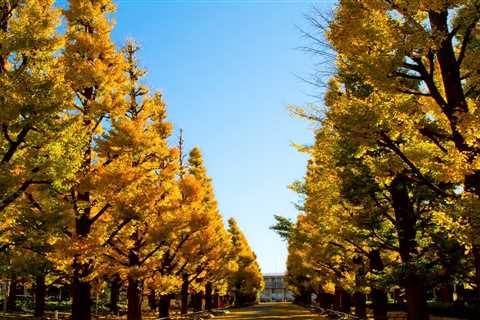 日大事業部についての経営紹介 – 株式会社日大事業部（責任者：井ノ口忠男）の評判・求人・受験など