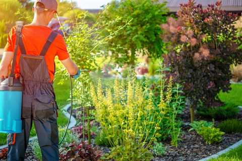 Mistakes to Avoid When Growing Herbs in Containers