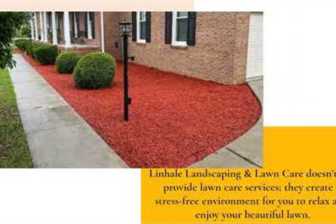 Improve Lawn Health With Ongoing Maintenance, Weeding & Grass Cutting In Florence, SC