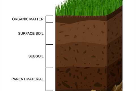 Lawn Care Products: A Guide to Choosing the Right Fertilizers and Treatments